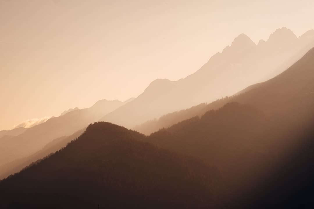 妈妈的味道图片什么梗